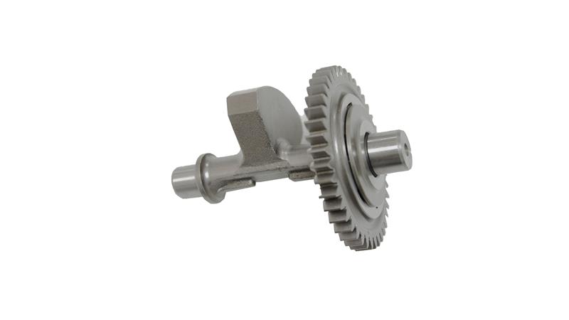 BALANS ve DİŞLİSİ (RZ250-S)